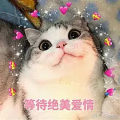 有没有给女朋友亲亲的表情包？ - 知乎