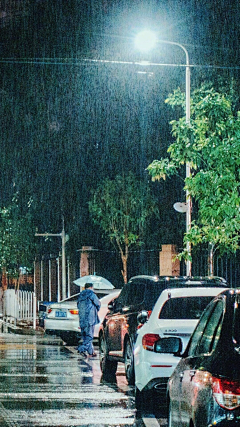 宁馨郁金香采集到烟雨微微