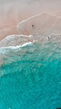dji mavic空气 壁纸高清 大自然 冲浪 狗 风景摄影图片图片壁纸