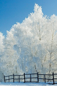 清净自在（演文）采集到冰雪世界