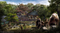 A New Zoo