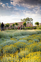 Different types of vegetation characterise different areas of the park / Richard Bloom