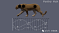四足动物马，猎豹，狮子走跑动画多视角解析 - 动画 - CGWold游戏特效,游戏动画,二次元,游戏美术网站 - Powered by Discuz!