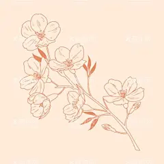 简笔线描花  - 源文件下载【酷图网】线描花,简约花卉,线条花朵,简笔花线条,花