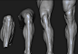 Legs Anatomy Study - Timelapse [Zbrush]