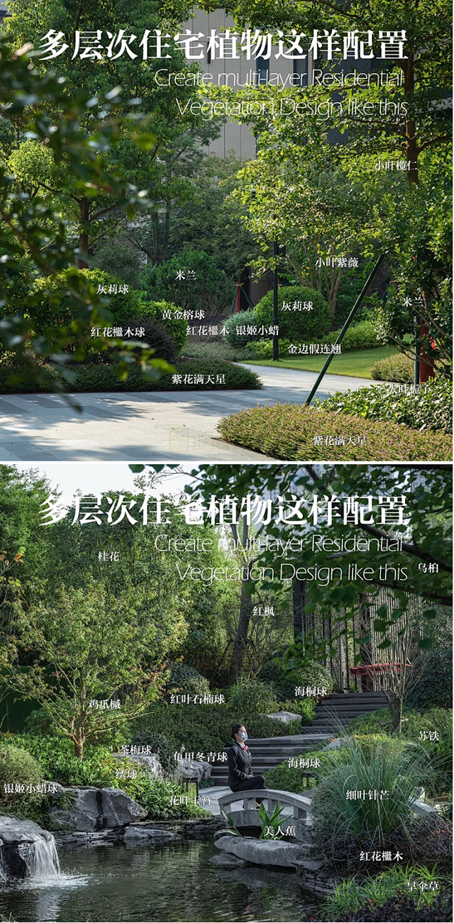 2022花境植物组团配置带名称园林景观铺...