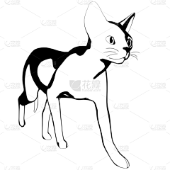 hello-胡桃夹子采集到插画