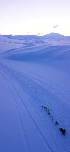 雪地 雪景 手机壁纸