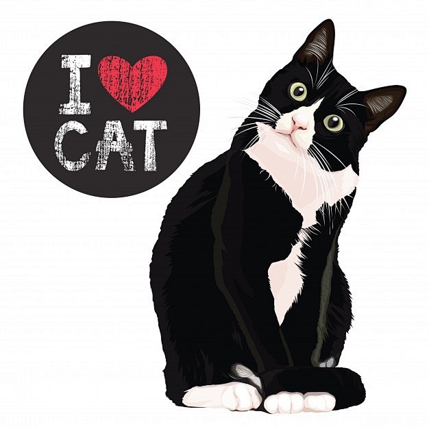 警长猫黑白猫奶牛猫