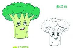 西兰花简笔画