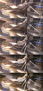 9562f094gy1hkfrsj3bjej21az2r0x6u.jpg (1691×3564)