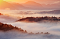 Foggy Mornings : Foggy mornings in the Bohemian Switzerland, Czech Republic.