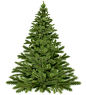 christmas-tree-christmas-1796131