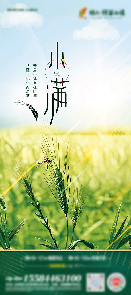 小满节气海报