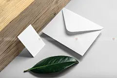 高端质感企业品牌VI样机合集logo提案场景贴图PSD模板设计素材