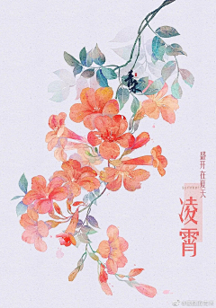 阿窝吖采集到水彩