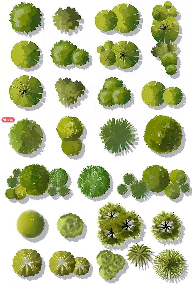2024小清新彩平植物PSD分层素材建筑景观手绘风彩平图植物PS素材-花瓣网
