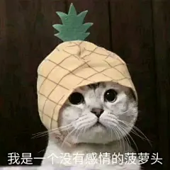 表情包 cr.林幸识