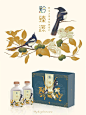 包装设计丨山茶油·农产品