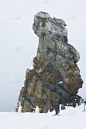 地形,企鹅,野外动物,自然美,自然,垂直画幅,野生动物,美国,雪,无人