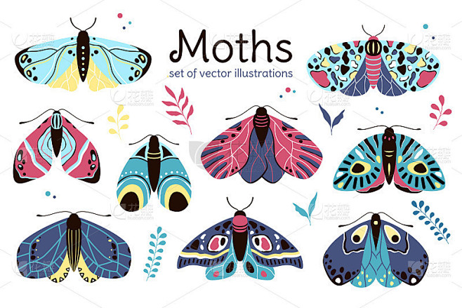 Moths