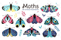 Moths