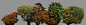 plant038.jpg