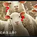 乌鸦说的对