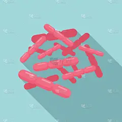 乳酸菌，益生菌象形扁平载体。Gut细菌