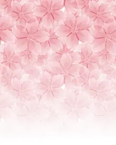 和风名片夹相关素材（底图+gif+免抠+壁纸） - 美图一条街 | 5倍收益 - 《QQ炫舞》官方论坛 - Powered by Discuz!