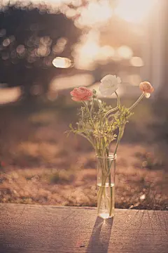 如果你做一件事的時候，心里有一股强烈的“浪费”之感，无论是面对一群朋友、参与一个派对、干一份工作，甚至面对一位情人，一旦感到“为什么我在这里浪费时间？”你得离开，不要继续亏待自己。你的心不是公厕。—— 《你的心不是公厕》