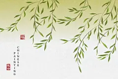 中国风柳枝柳树插画矢量图素材
