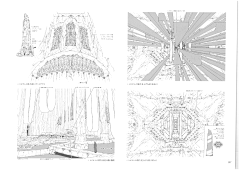 星星之火丶采集到约定之花