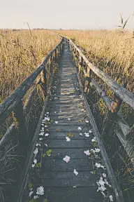 摄影美图，可爱哒~