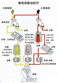 孙海霞shx采集到生活技法