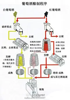 红酒百科知识：【葡萄酒酿制工序】众所周知红葡萄酒只由紫黑葡萄酿制，但白葡萄酒却有少数红葡萄品种例如灰贝露用于酿制。葡萄酒的颜色来自于紫黑颜色的葡萄皮，当中含有细腻的单宁，是主要的健康成分，下图是酿制工序图，因为去皮发酵，所以白葡萄酒是不含单宁的。