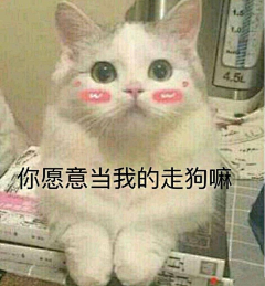 塔普君采集到表情包