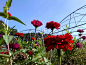 psb (3).webp