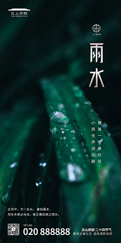 KLin′采集到节气节日