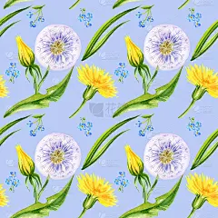 无缝图案，手绘水彩花蒲公英，香草，蝴蝶，蓝色底色，黄色花为纺织品，卡片，婚礼设计