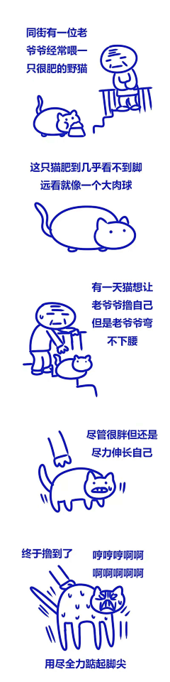 差点笑出声x采集到猫