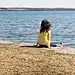 叉烧包