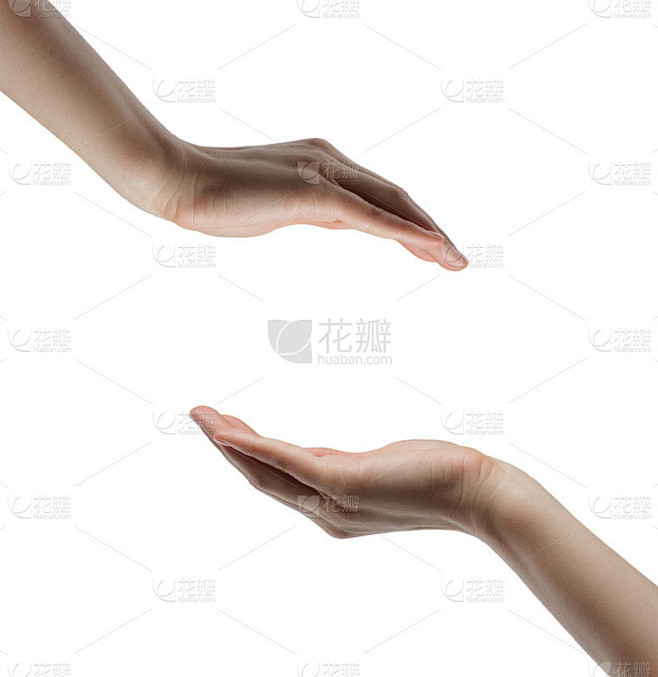 两只手