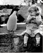 I dont think I have ever seen anything cuter than this... Penguins and kids.... Love them both!!!