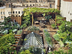 由木川采集到屋顶花园