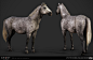 GHOST OF TSUSHIMA - HORSES, LITTLE RED ZOMBIES : We've had the amazing opportunity to work together with Sucker Punch Productions on GHOST OF TSUSHIMA!

These are some of the horse textures and fur samples that we worked on/

Nakshatra Solanki was respons