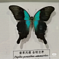 来自分享