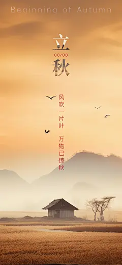 立秋节气移动端海报