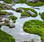 园林景观|如何用景观覆盖的手法做旱溪？-芦苇植物造景设计研究中心-微头条(wtoutiao.com)