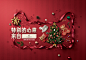 TMALL XMAS & NEW YEAR CAMPAIGN
19 December, 2017